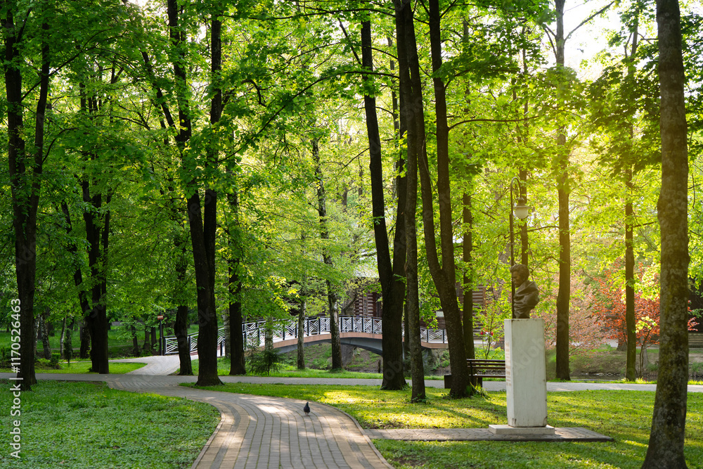 Fototapeta premium Beautiful view of the city park on a sunny spring day.