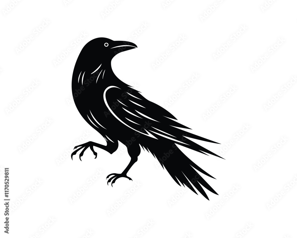 Fototapeta premium A beautiful black crow isolated on white background