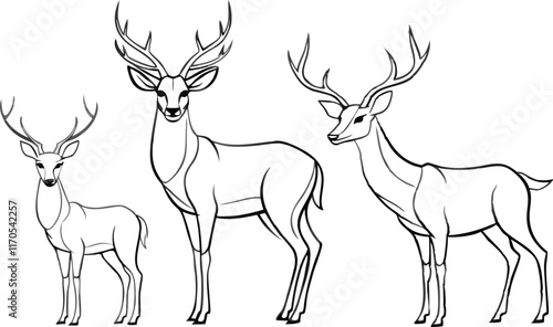 Graphic black silhouettes of wild deers – male, female and roe deer