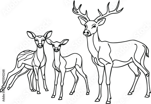 Graphic black silhouettes of wild deers – male, female and roe deer