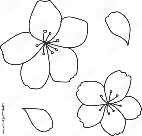 cherry_blossoms01