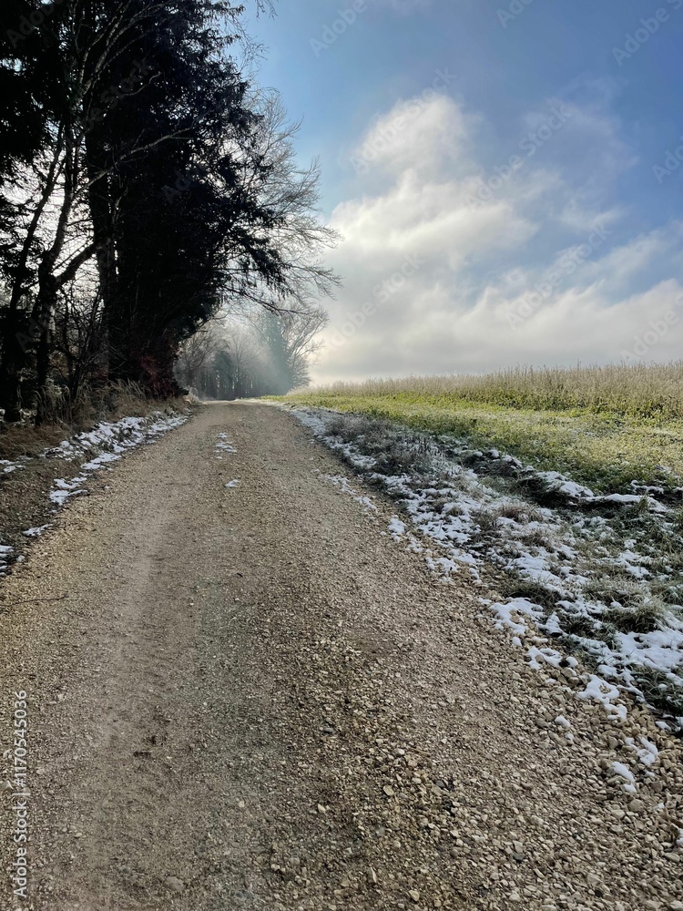 Scenic countryside path with snow and blue sky. Scenic countryside path with snow and blue sky.