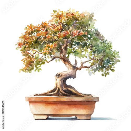 A watercolor vector painting of a Sandalwood Bonsai tree, isolated on a white background. Sandalwood Bonsai tree vector.

