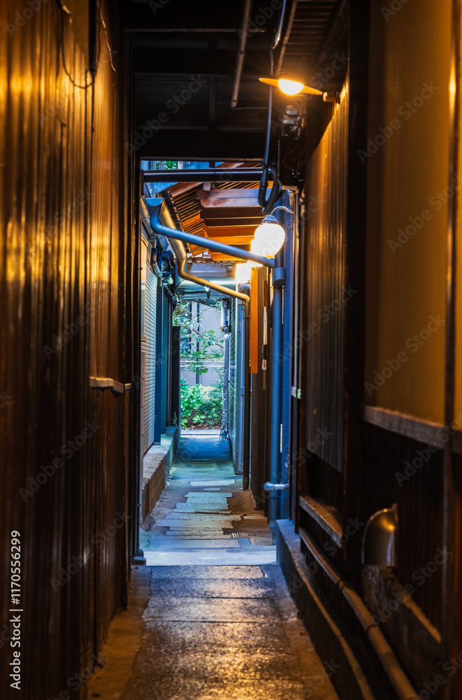 京都 先斗町の路地