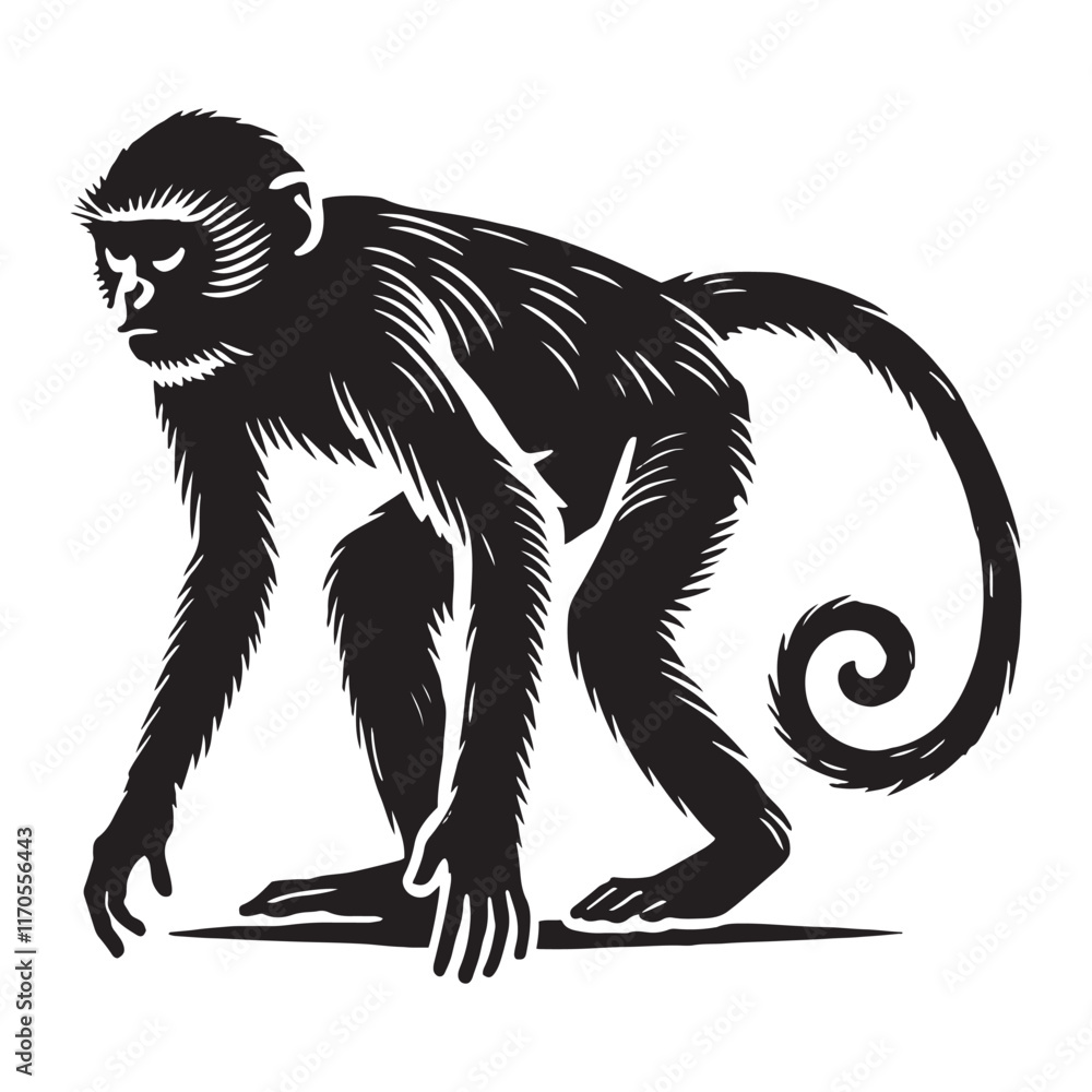 Obraz premium Detailed monkey silhouette for media and artistic uses - Monkey black vector 