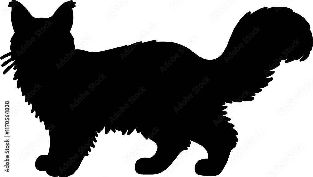 Maine Coon cat isolated on a transparent background Maine Coon cat isolated on a transparent background