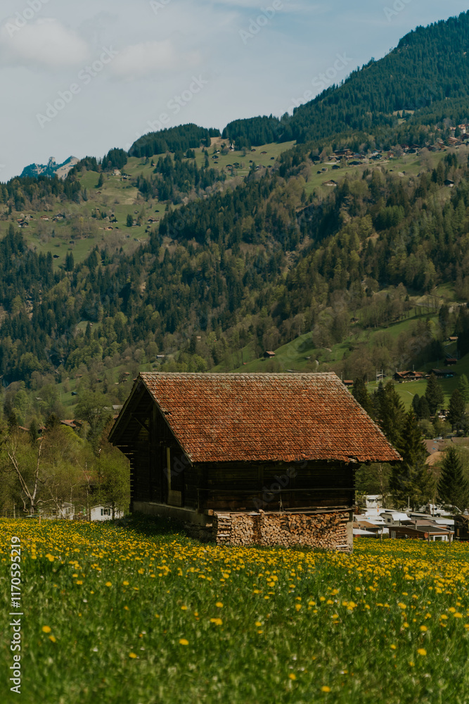 Fototapeta premium Domek w dolinie