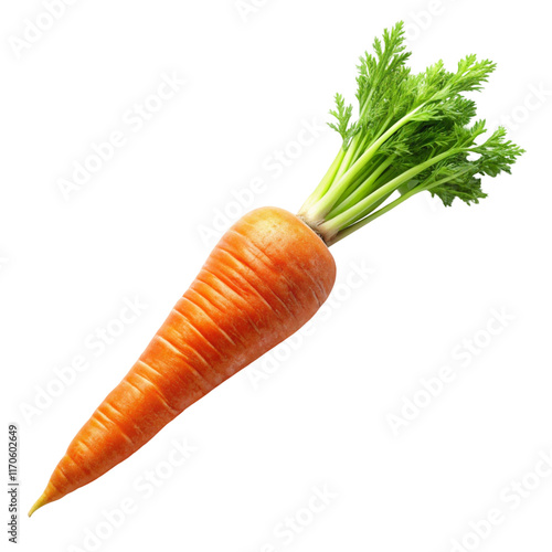 carrots isolated on white