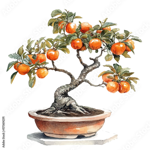 A watercolor vector painting of a Persimmon Bonsai tree, isolated on a white background. Persimmon Bonsai tree vector.

