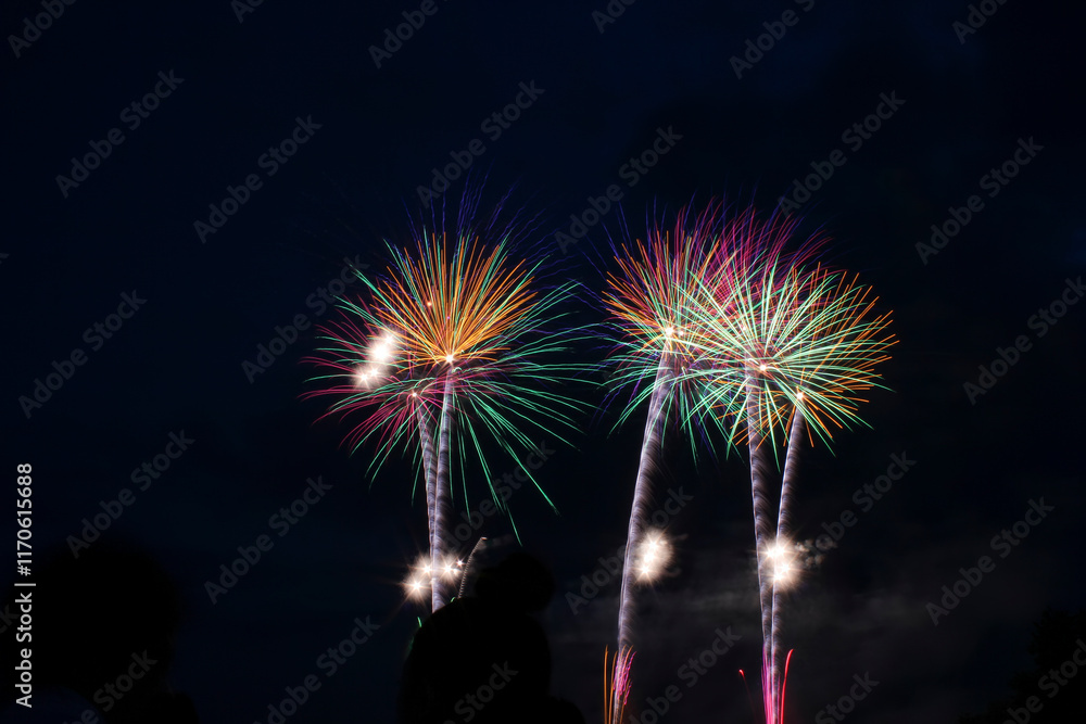 古都ひろさき花火の集い ワイドスターマイン Japan Hirosaki Fireworks Festival - Wide Star mine 古都ひろさき花火の集い ワイドスターマイン Japan Hirosaki Fireworks Festival - Wide Star mine