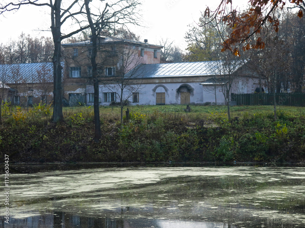 Fototapeta premium old overgrown manor pond with mud