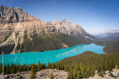 banff national park peyto lake photo