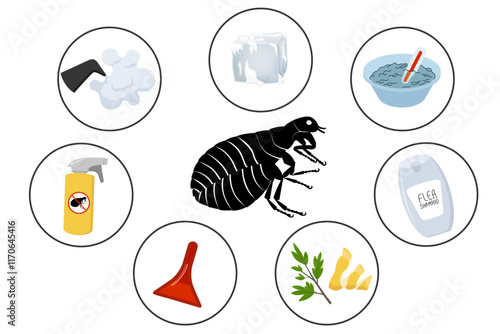 How to get rid of fleas, infographic with effective remedies against insect
