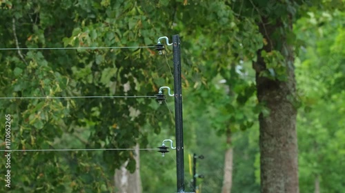 Electric Wire Fencing Perimeter at Around Outdoor Enclousure for Dangerous Wild Animals at Wildlife Sanctuary Refuge Zoological Garden Animal Park photo