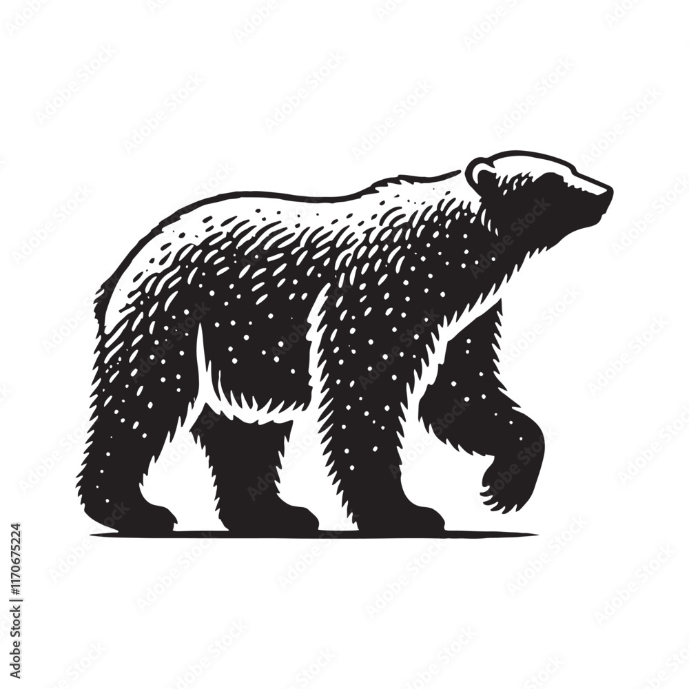 Fototapeta premium Captivating polar bear silhouette for creative digital artwork - Polar bear black vector 