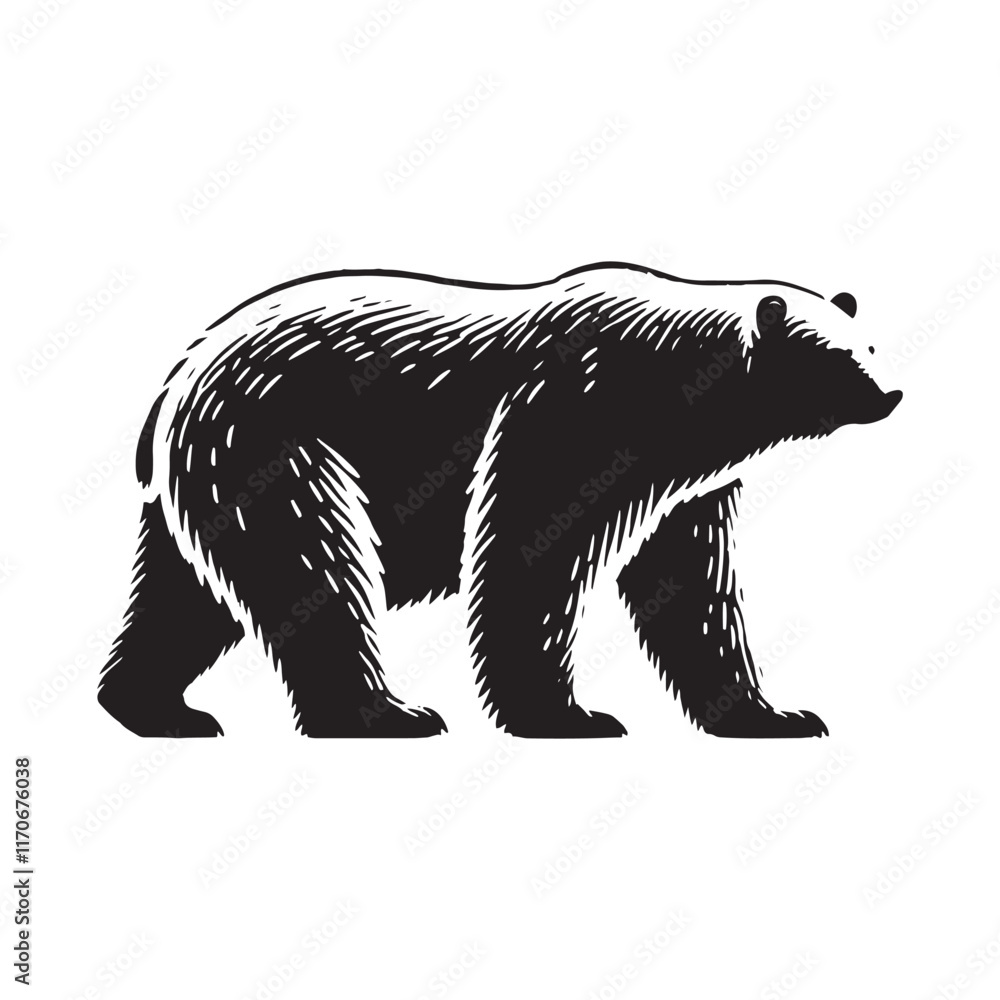 Fototapeta premium Minimalistic polar bear silhouette for modern media designs - Polar bear black vector 