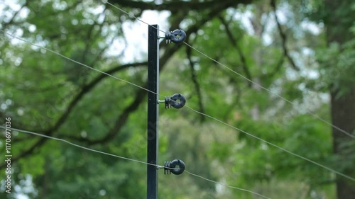 Electric Wire Fencing Perimeter at Around Outdoor Enclousure for Dangerous Wild Animals at Wildlife Sanctuary Refuge Zoological Garden Animal Park photo