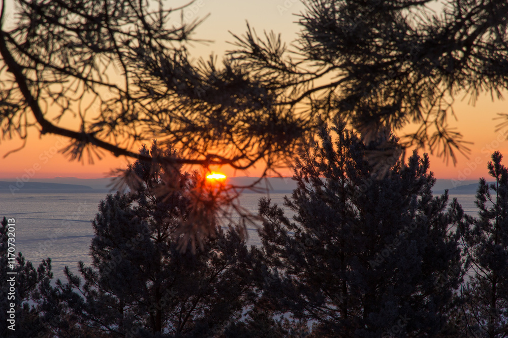 Winter sunrise on the river through the coniferous trees Winter sunrise on the river through the coniferous trees