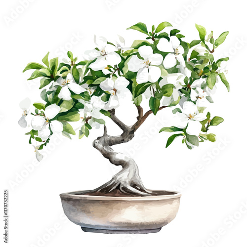 A watercolor vector painting of a Madagascar Jasmine Bonsai, isolated on a white background. Madagascar Jasmine Bonsai vector.

