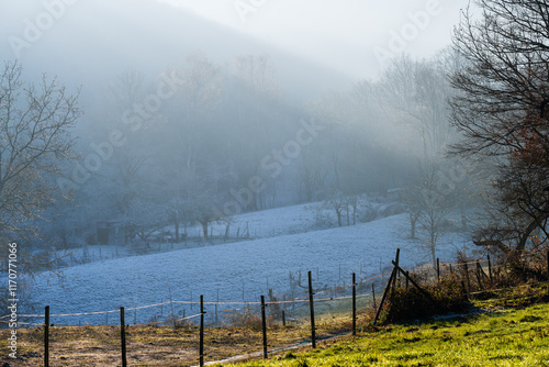 Nature en transition : prairie givrée fondant sous la lumière du soleil photo