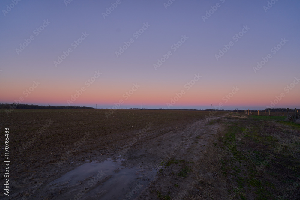 sunrise over the field