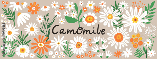 Beautiful camomile flowers collection with hand-drawn floral elements. Blossom botanical vector set for decor, pattern, sticker, clipart, print designs.