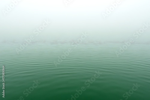 Foggy lake with subtle ripple patterns and distant aquatic life.