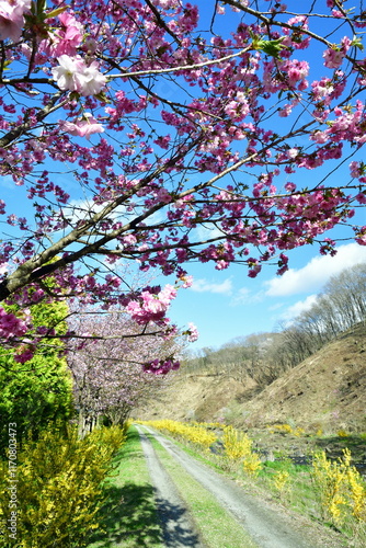 那須白河フォレストスプリングス花野華（福島県）