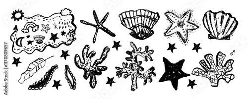 Seaweed and coral vector illustrations - marine life clipart collection 