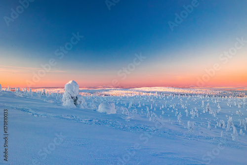 Obraz na płótnie winter landscape at sunset w salonie
