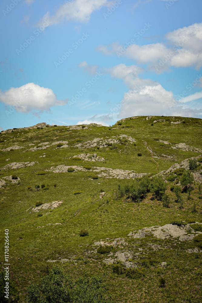 Grass field with flat rocks going up the mountain till the sky, Swiss Alps, Switzerland Grass field with flat rocks going up the mountain till the sky, Swiss Alps, Switzerland