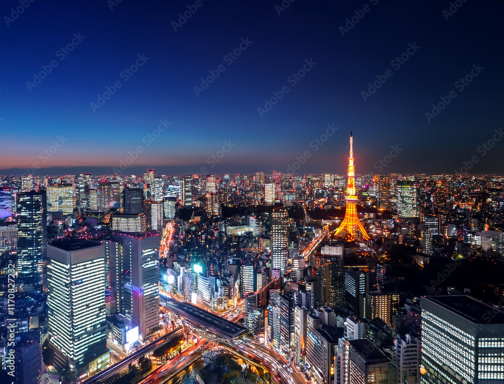 Obraz premium 都会の夜景