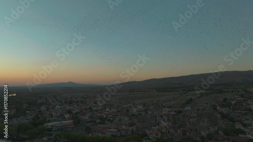 Wallpaper Mural Epic aerial view of Turkish landscape of Cappadocia with river at sunset, sunrise, mountains , huge Starling bird murmuration Turkiye Torontodigital.ca