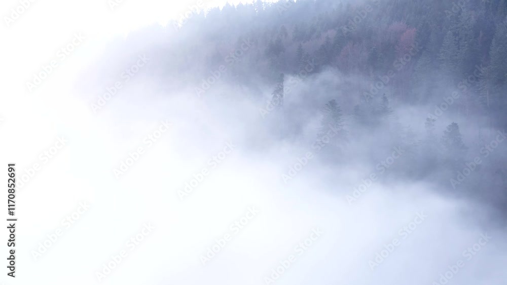 Aerial slow fly through a cloud over an autumnal mountain forest Aerial slow fly through a cloud over an autumnal mountain forest