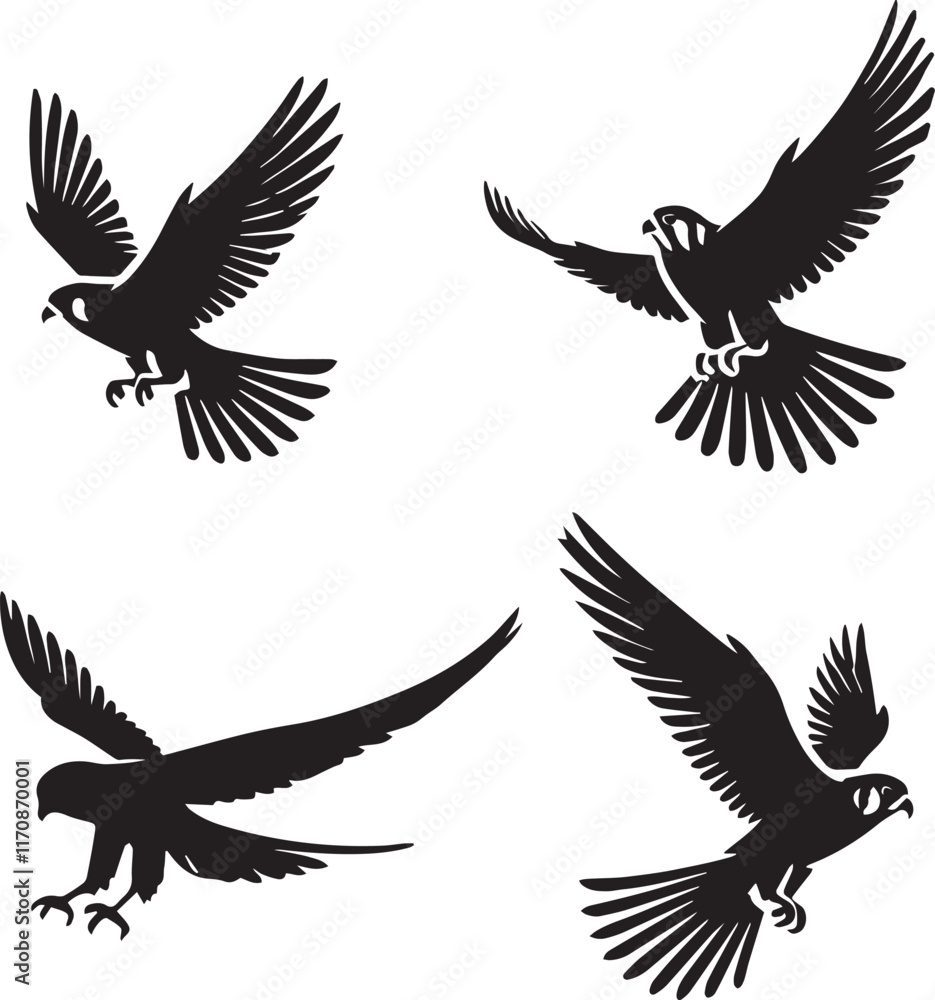 american kastrel flying poses, kestrel in flight vector, soaring raptor illustration american kastrel flying poses, kestrel in flight vector, soaring raptor illustration