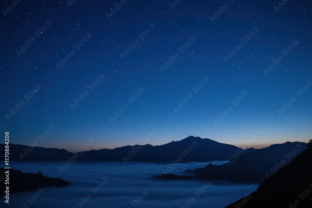 Fototapeta premium The sky is dark and the stars are shining brightly