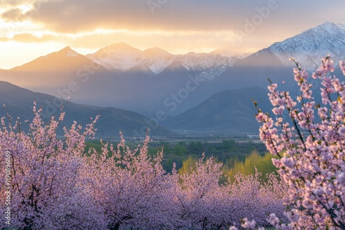 A beautiful mountain range with snow on the tops photo