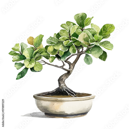 A watercolor vector painting of an Indian Fig Bonsai, isolated on a white background. Indian Fig Bonsai vector.

