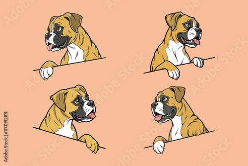 A Boxer dog vector is a simplified, stylized illustration showcasing the breed's muscular build, expressive face, and short coat, often in bold lines and minimal colors like brown, white, and black