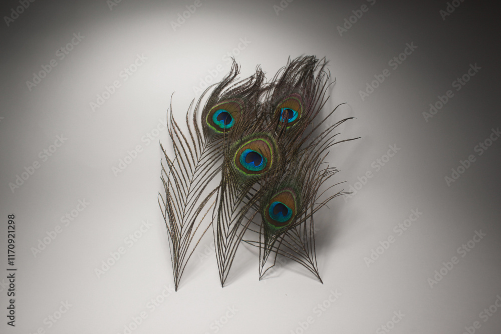 Obraz premium This is a very beautiful peacock feather and flute, it symbolizes beauty and harmony and also symbolizes one of the figures in Bharat, he is Krishna.