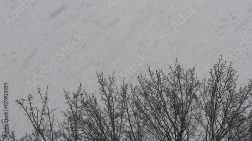 Wintereinbruch mit viel Schnee und Schneefall