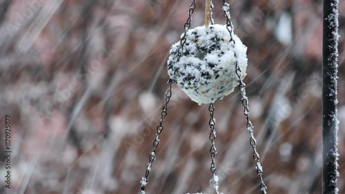 Futterring f ür Vögel im Winter wird eingeschneit