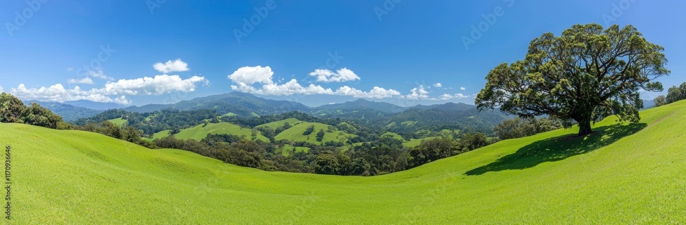 A summer landscape in Russia featuring lush green fields, a clear blue sky, and white clouds A summer landscape in Russia featuring lush green fields, a clear blue sky, and white clouds