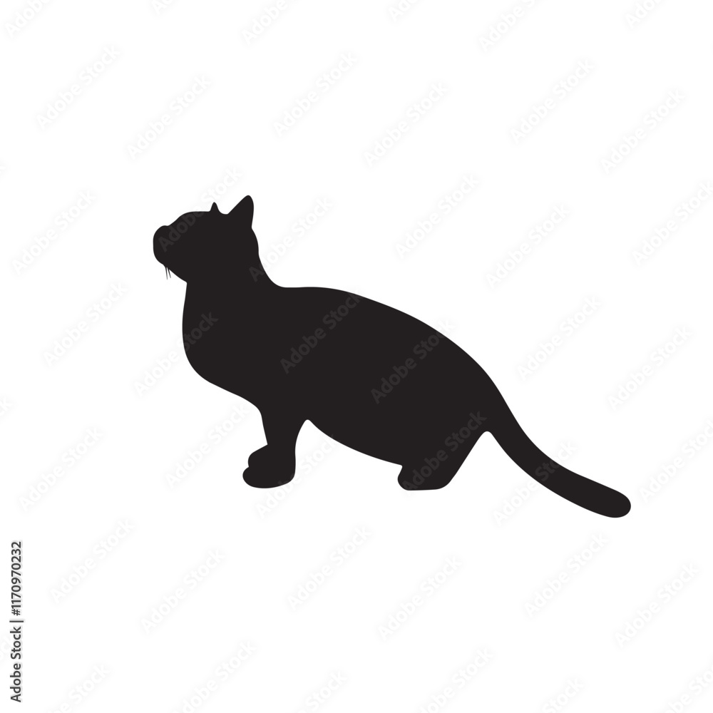 Fototapeta premium cat on a white background