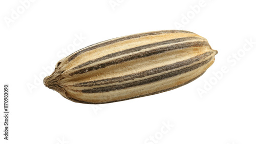 Wallpaper Mural A Close-Up View of a Single Sunflower Seed with Its Striped Shell for Educational and Botanical Purposes. Torontodigital.ca