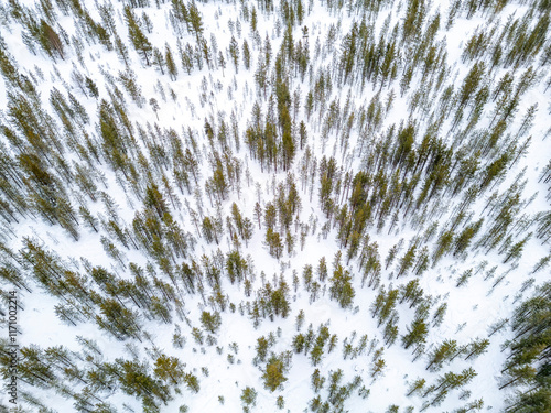 lapland winter aerial Inari Nellim frozen lakes and forest landscape panorama photo