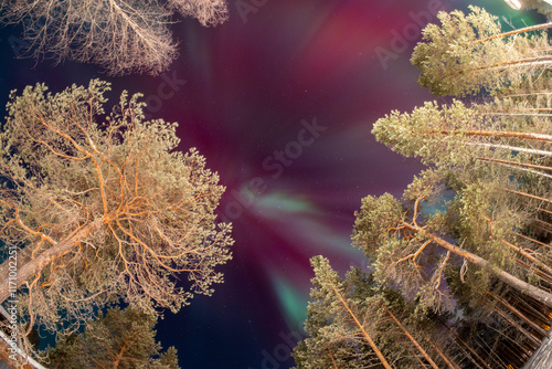 Northern Lights in Lapland Inari Nelli Lakes forest photo