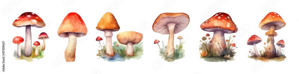 Watercolor set with mushroom. Mushrooms plants.