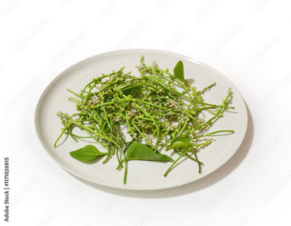 Basella Rubra in a white dish, Malabar Spinach, Ceylon Spinach, Indian Spinach, Malabar Nightshade, Vine Spinach (Basellaceae), isolated on white, view from the top Basella Rubra in a white dish, Malabar Spinach, Ceylon Spinach, Indian Spinach, Malabar Nightshade, Vine Spinach (Basellaceae), isolated on white, view from the top