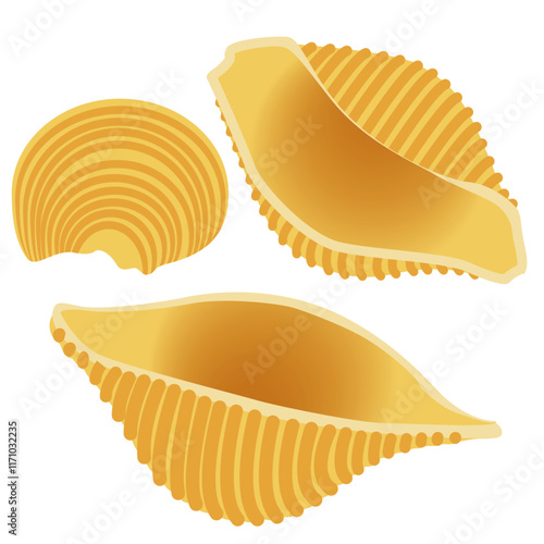 Raw shell pasta, Conchiglie pasta uncooked dried, Italian cuisine.